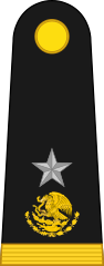 General brigadier(Mexican Army)[5]