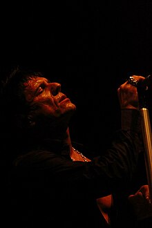 Matijevic with The Doors at the Bospop festival, Weert, Netherlands, 2010 Miljenko Matijevic - picture by Simone van den Boom.jpg