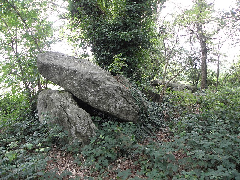 File:Miniac-Morvan (35) Allée couverte de Four-ès-Feins 02.JPG