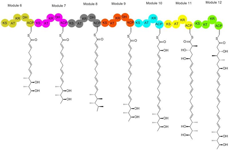 File:Mod6-12.jpg