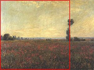 Monet - Grabungsstudie Mohnblumenfeld.jpg