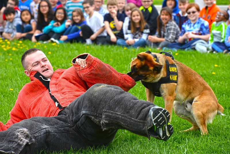 File:Month of Military Child MWD demonstration 150414-F-OH119-070.jpg