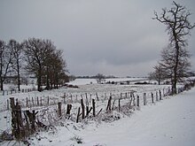 Foto a colori di pascoli racchiusi da filo spinato e alberi sotto la neve.  Il cielo è grigio uniforme.