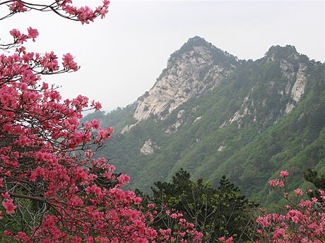 麻城市