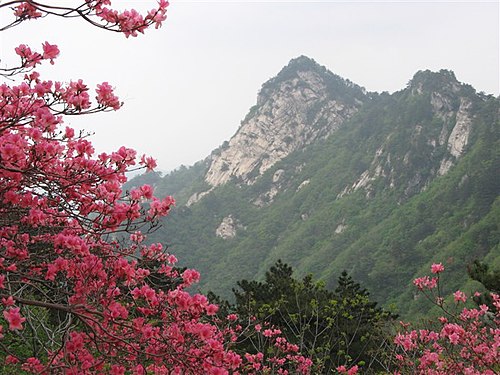 Mount Guifeng with Azalea blooms in Macheng