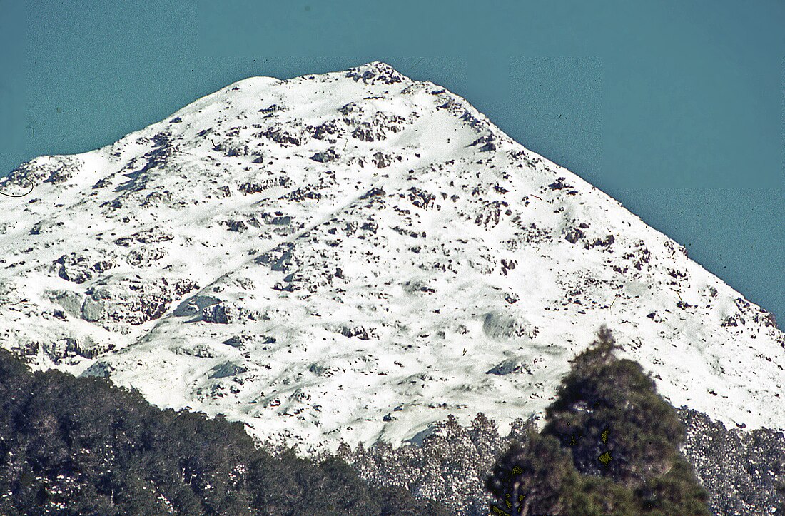 Mount Haast (Buller District)