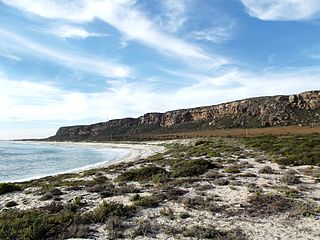 <span class="mw-page-title-main">Mussel Point</span>