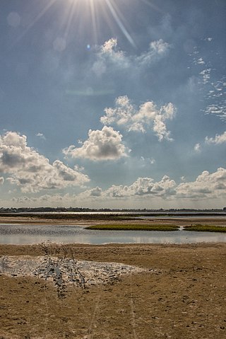 <span class="mw-page-title-main">Mustang Island State Park</span> State park in Texas, United States