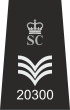 NPIA Special Sergeant Insignia