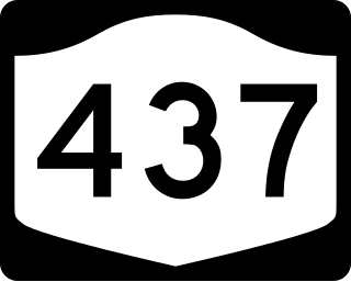 <span class="mw-page-title-main">New York State Route 437</span> States shortest signed state highway