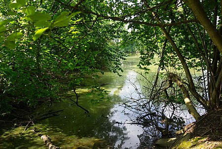 Naturschutzgebiet Kernzone Ommelstal