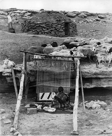 Navajo weaver with sheep