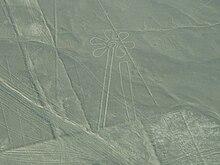 Linee Di Nazca Wikipedia