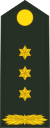 Netherlands-Army-OF-5.svg