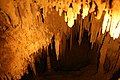 Newdegate Höhle-Tasmanien-Australien17.JPG