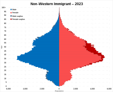 Non-Western immigrant