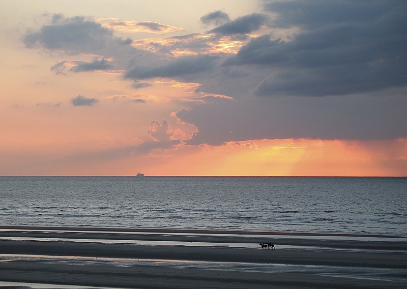 File:Noordzee Avondlicht.jpg