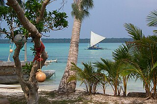 <span class="mw-page-title-main">L'Île-des-Pins</span> Commune in New Caledonia, France