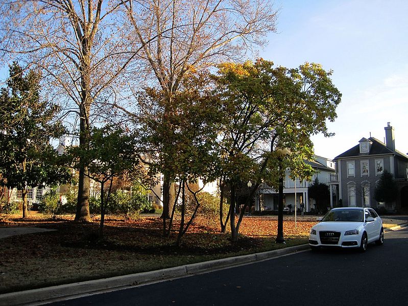 File:Nursery Park Mud Island Memphis TN 2013-11-29 011.jpg