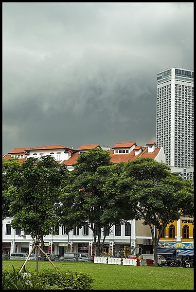 403px-Oh_no_more_rain_Singapore-1_(16163494086).jpg (403×600)