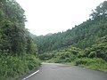 大井町南平 徳島県道283号和食勝浦線 (4)