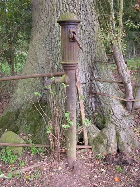 File:Old water pump, Neen Sollars - geograph.org.uk - 258450.jpg