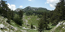 Opuvani dingin-air kolam renang panorama kaki Pavle Cikovac.jpg