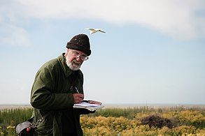 Ornithologist Kalev Rattiste takes notes on the seagull colony at the Estonian island of Kakrarahu, by Johanna Adojaan