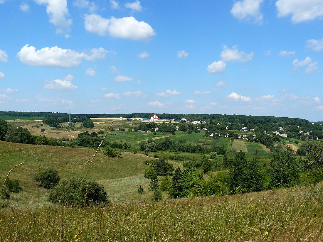 Sniżky (obwód kijowski)