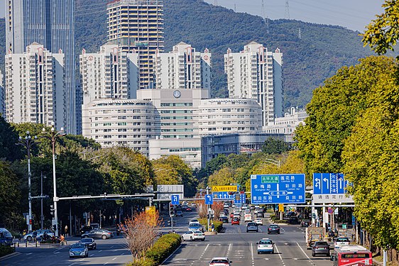 PEKING UNIVERSITY SHENZHEN HOSPITAL