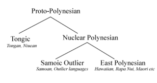 Major language subgroupings for the Polynesian language family.