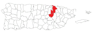 <span class="mw-page-title-main">Puerto Rico senatorial district I</span> Profile and election results