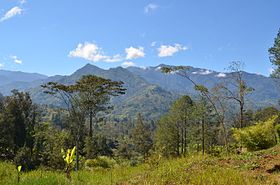 Papúa Nueva Guinea: Etimología, Historia, Política