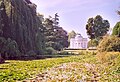 The pond of the Bagatelle garden contains a wide variety of Nymphaeaceae, or water lilies.