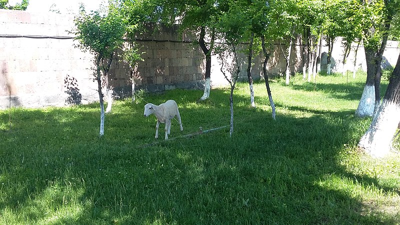 File:Park Yeraz, Yerevan 13.jpg