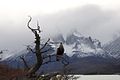Parque Nacional Torres del Paine, impresión.jpg