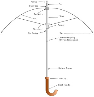 Umbrella