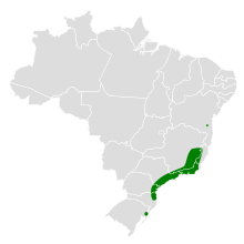 Phyllomyias griseocapilla map.svg