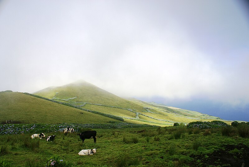 File:Pico Alto ao fundo do canto da serra, Toledo, Velas, São Jorge, Açores.JPG