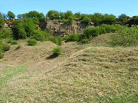 Pittington Quarry - geograph.org.uk - 167086.jpg