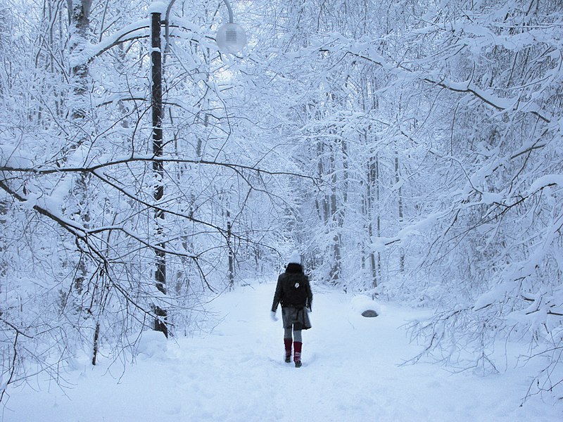 File:Plenitude Of A Winter Stroll.jpg