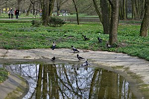 Pole Mokotowskie: Położenie, Ważniejsze obiekty, Przyroda