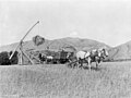 "Unloading dry farm wheat" By George W. Ackerman, Washington, 1925 National Archives and Records Administration, Records of the Extension Service (33-SC-5094c) [VENDOR # 62]