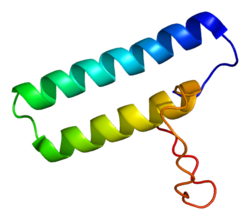 חלבון HARS PDB 1x59.png