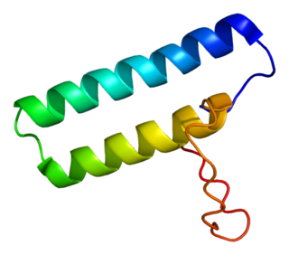 <span class="mw-page-title-main">HARS</span> Protein-coding gene in the species Homo sapiens