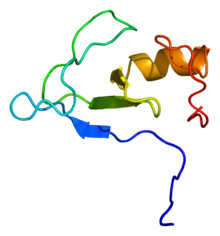Protein RNF38 PDB 1x4j.png