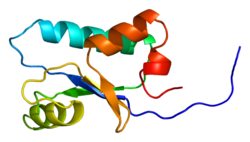 Белок SH3BGRL3 PDB 1j0f.png