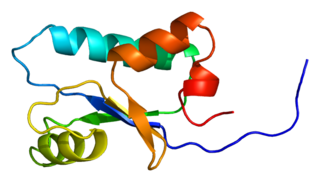 <span class="mw-page-title-main">SH3BGRL3</span> Protein-coding gene in the species Homo sapiens