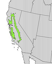 Cordillera Quercus douglasii map.jpg