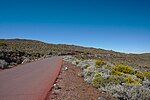 Miniatuur voor Bestand:Réunion Route forestière du Volcan.jpg